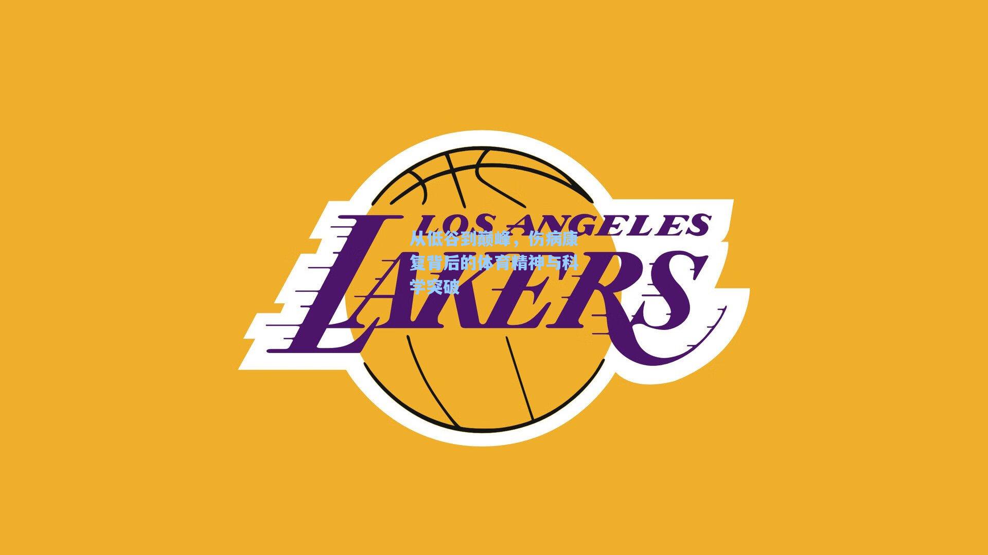 从低谷到巅峰,伤病康复背后的体育精神与科学突破