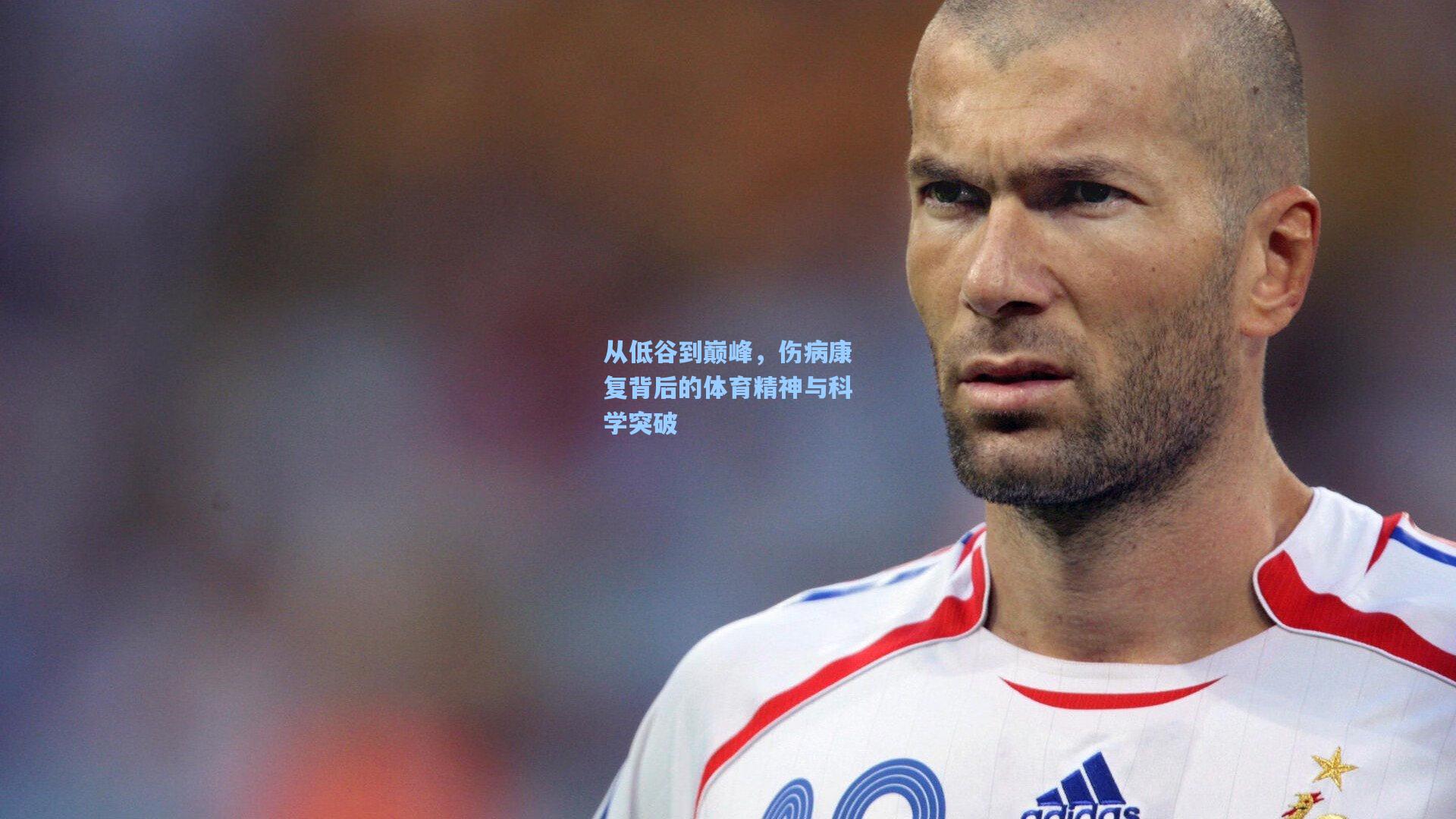 从低谷到巅峰,伤病康复背后的体育精神与科学突破